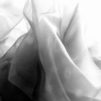 Black and white image of a loose veil on the 